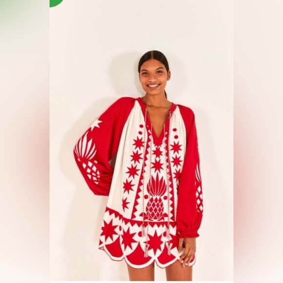 Dresses & Skirts - New Embroidered dress with belt